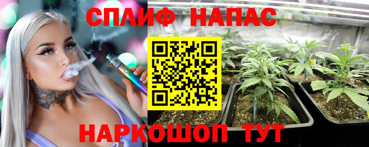 Конопля Bruce Banner  Шишки марихуана тримм  Вход с VPN  Шишки марихуана Amnesia  Большой Камень 