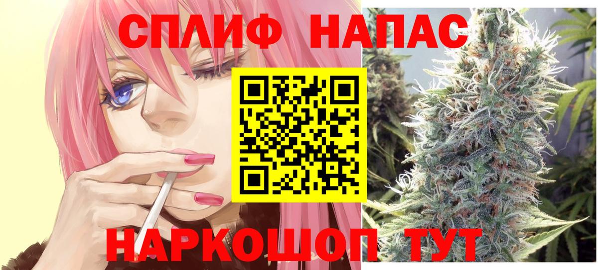 Бошки Шишки планчик Большой Камень